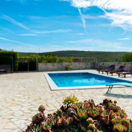 Dalmatian Country House Irena Bruska Ngoại thất bức ảnh
