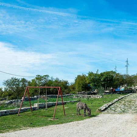 Dalmatian Country House Irena Bruska Ngoại thất bức ảnh