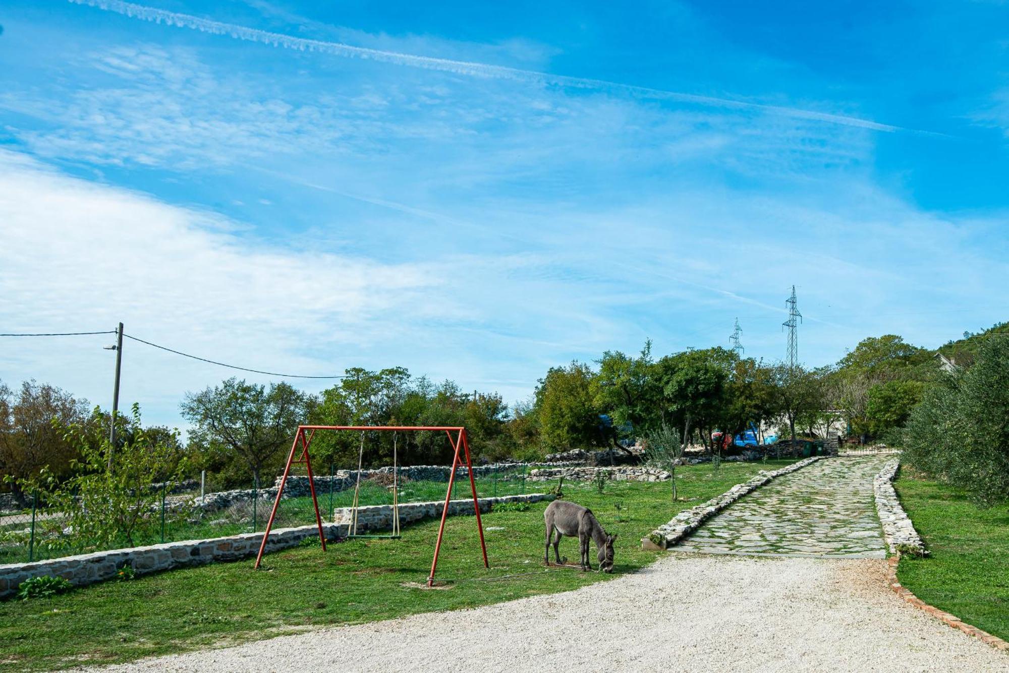Dalmatian Country House Irena Bruska Ngoại thất bức ảnh