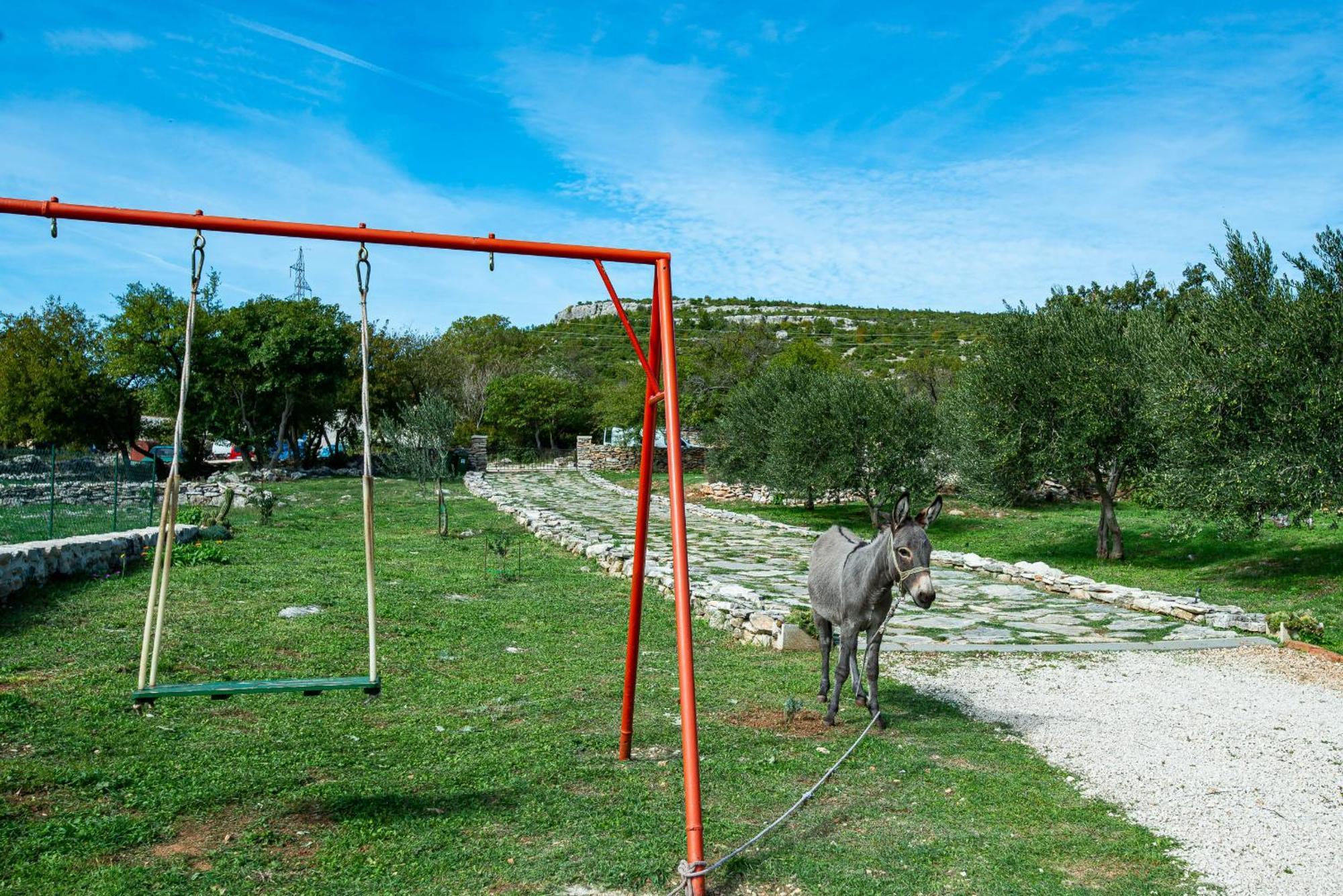 Dalmatian Country House Irena Bruska Ngoại thất bức ảnh