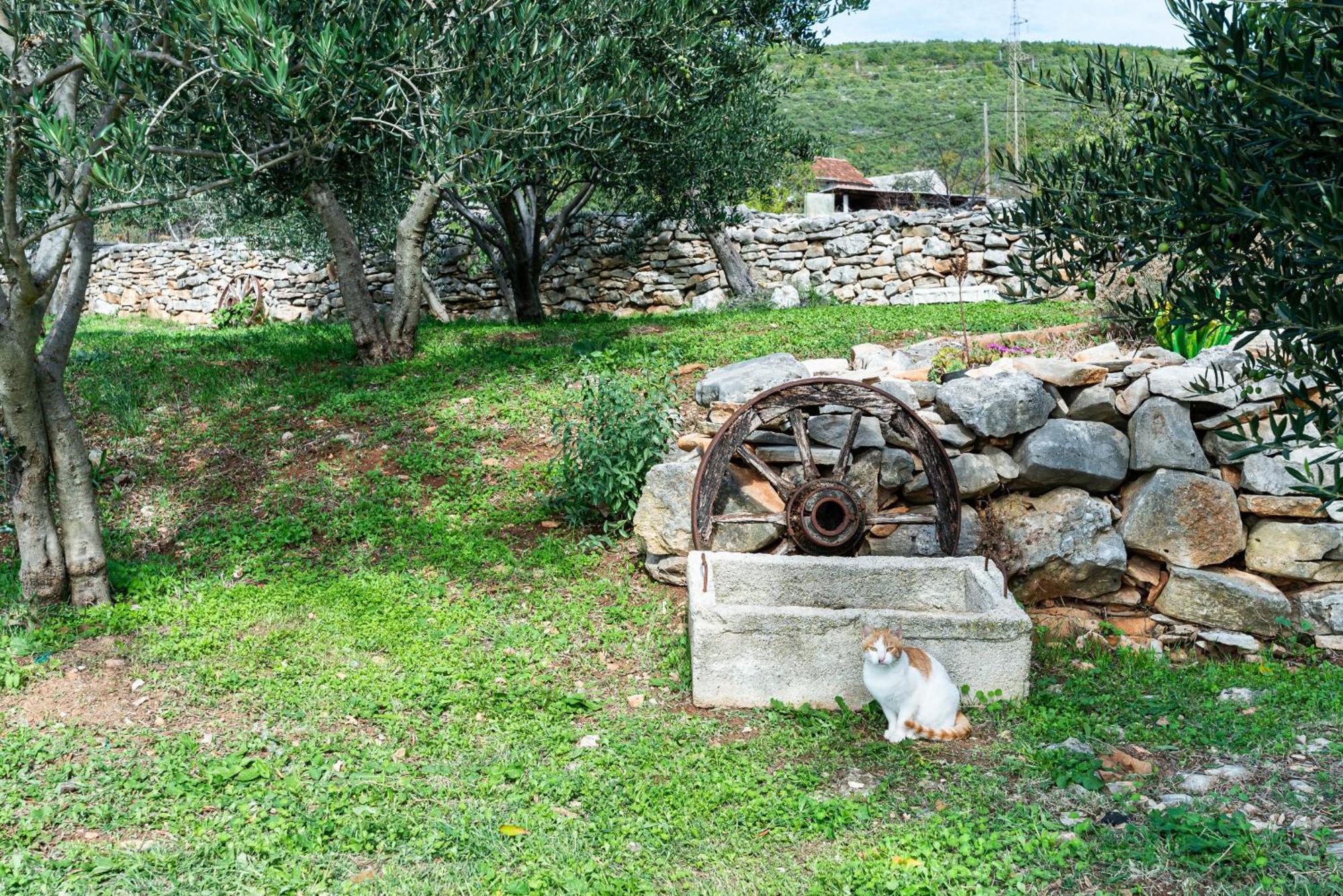 Dalmatian Country House Irena Bruska Ngoại thất bức ảnh